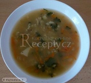 Rychlá vločková polévka