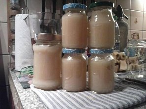 Jablečná přesnídávka (pyré) Jablečná přesnídávka (pyré)
