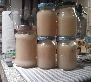 Jablečná přesnídávka (pyré)