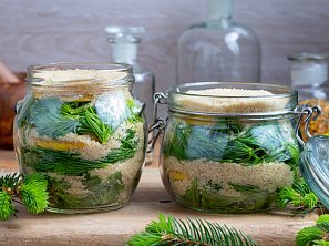 Sirup ze smrkových výhonků