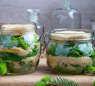 Sirup ze smrkových výhonků