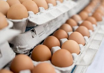Jak poznat kvalitní vejce? Vybírejte podle barvy i původu!