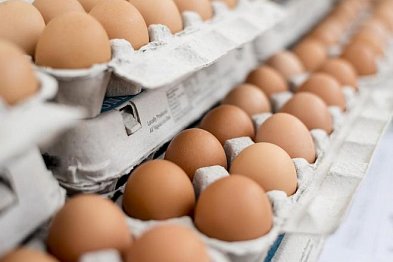 Jak poznat kvalitní vejce? Vybírejte podle barvy i původu!