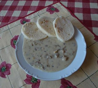 Smetanová omáčka s hlívou ústřičnou