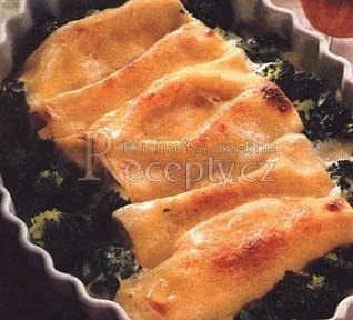 Cannelloni plněné tvarohem