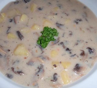 Mléčná žampionová polévka