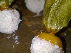 "Nejen" dekorativní physalis