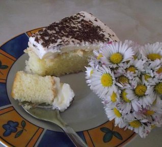 Pudinkovosmetanové řezy