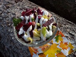 Listový salát s řepou a česnekovým dipem