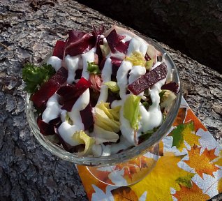 Listový salát s řepou a česnekovým dipem