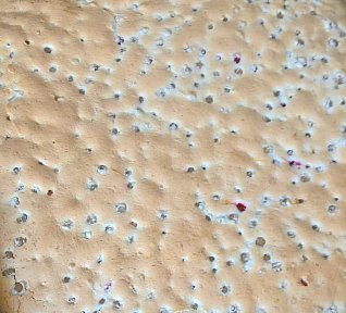 Rybízový koláč s kokosem