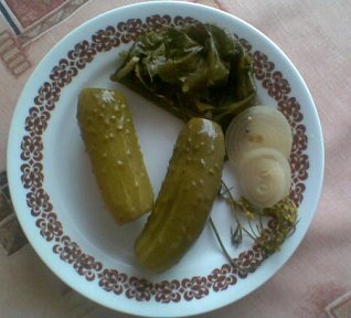 Rychlokvašky mého manžela