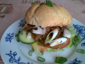 Pikantní gyros v housce