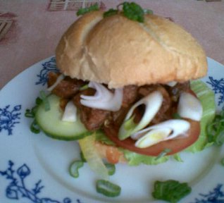 Pikantní gyros v housce