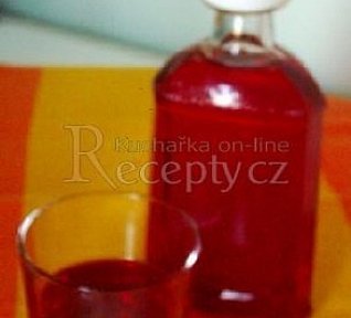 Nevařená rybízová šťáva