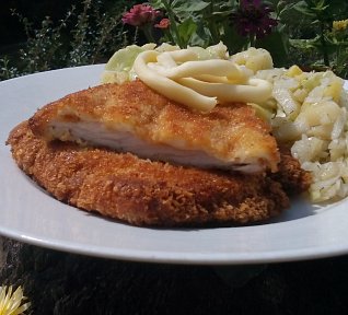 Řízky od Malé Fatry