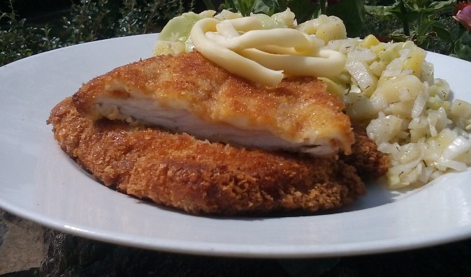 Řízky od Malé Fatry