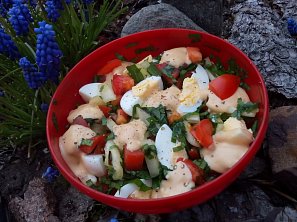 Zeleninový salát s medvědím česnekem a vejci