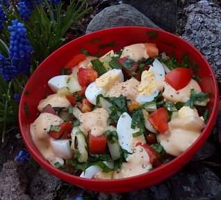 Zeleninový salát s medvědím česnekem a vejci