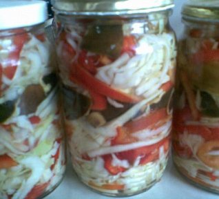 ČALAMÁDA s houbami