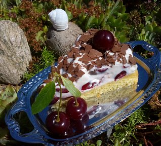 Osvěžující višňový dort