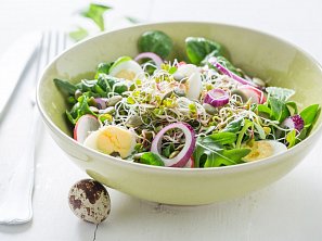 Salát s křepelčím vejcem a klíčky