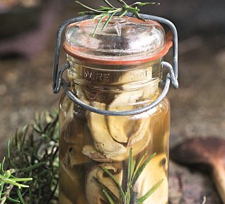 Kyseláče s rozmarýnem a jalovcem