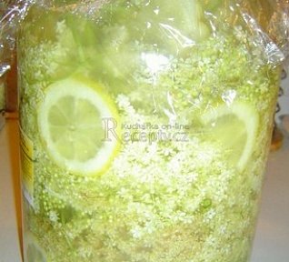 Bezinková limonáda Bezinková limonáda