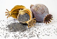 Pomerančovo-makové cukroví