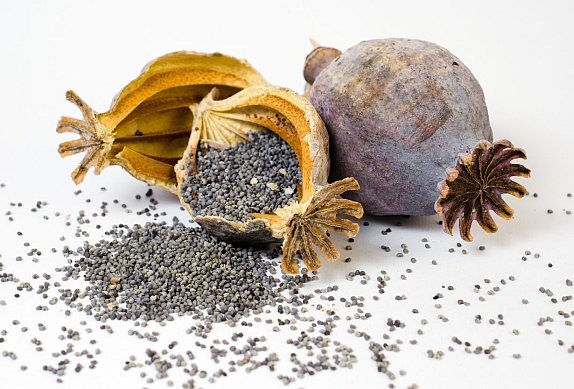 Pomerančovo-makové cukroví