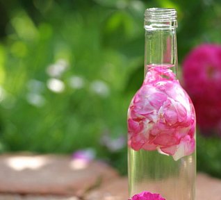 Ocet z růží