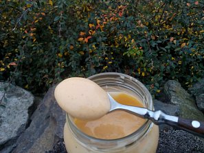 Dip (zálivka) do zeleninových salátů