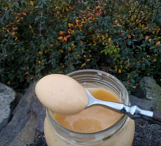 Dip (zálivka) do zeleninových salátů