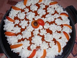Jednoduchý meruňkový dort (řez)