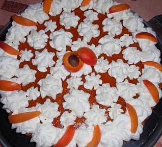 Jednoduchý meruňkový dort (řez)