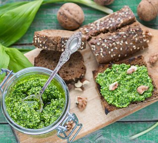 Pesto z medvědího česneku a vlašských ořechů