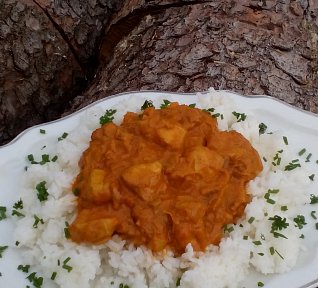 Krůtí maso v pikantní pórkové omáčce