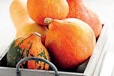Dýně: Oranžový symbol podzimu