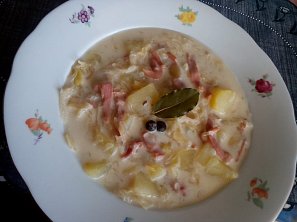 Kyselica s debrecínkou