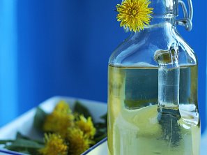 Nevařený pampeliškový sirup