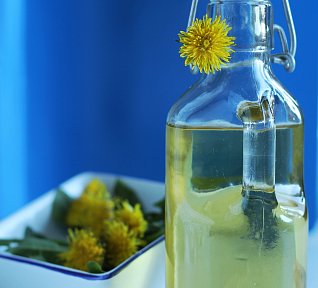 Nevařený pampeliškový sirup