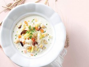 Bystřická kyselica