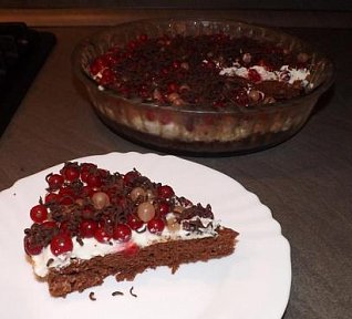 Rybízová buchta s čokoládou