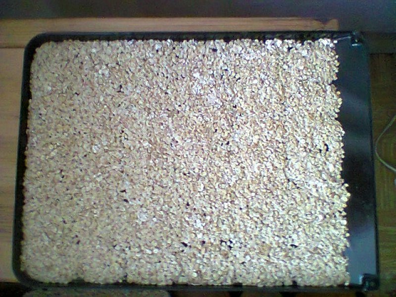 Cestovní ovesné pražmo, základní recept