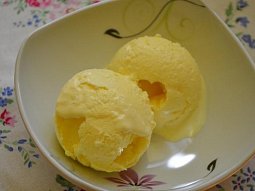 Vynikající vanilková zmrzlina
