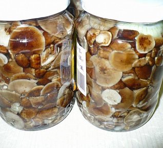 Houby na kyselo bez zavařování