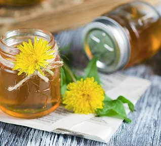 Pampeliškový med II.