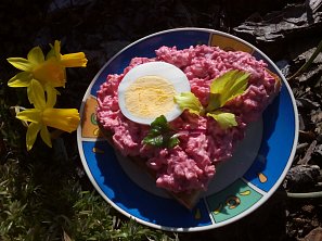 Vajíčková pomazánka s řepou