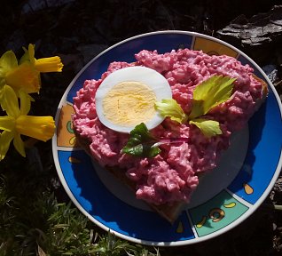 Vajíčková pomazánka s řepou