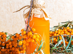 Rakytníkový sirup za studena